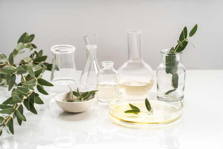 natural beauty skin care products and glassware, flasks and petri bowl with plants