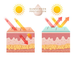 sunscreen protection on skin layers infographic