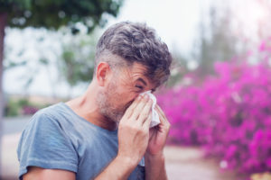 man with hay fever sneezing into a tissue
